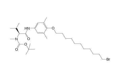 3,5-Dimethyl-4-[(11'-bromoundecyl)oxy]-1-{[N-(t-butoxycarbonyl<N-methyl>amino)](isopropylmethyl)carbonyl]amino}-benzene