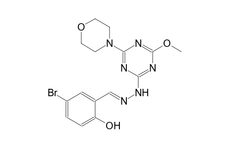 benzaldehyde, 5-bromo-2-hydroxy-, [4-methoxy-6-(4-morpholinyl)-1,3,5-triazin-2-yl]hydrazone
