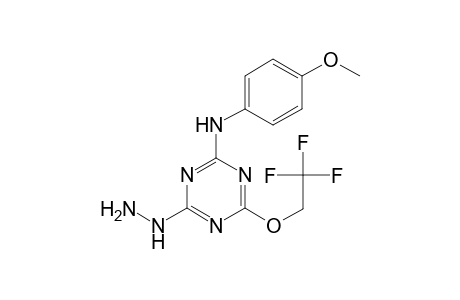 4-Hydrazino-N-(4-methoxyphenyl)-6-(2,2,2-trifluoroethoxy)-1,3,5-triazin-2-amine