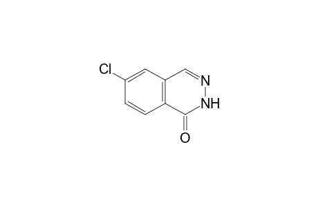 6-chloro-1(2H)-phthalazinone