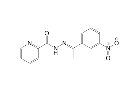 2-pyridinecarboxylic acid, 2-[(E)-1-(3-nitrophenyl)ethylidene]hydrazide