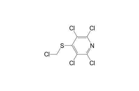 2,3,5,6-Tetrachloro-4-chloromethyl-thio pyridine