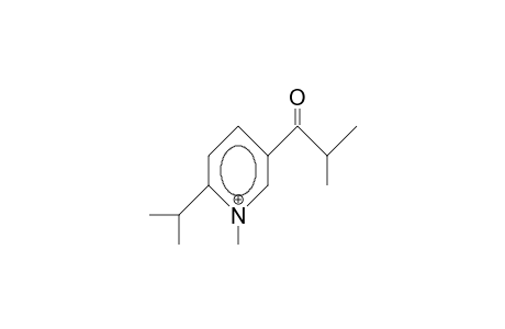 1-Methyl-2-isopropyl-5-(1-oxo-isobutyl)-pyridinium cation