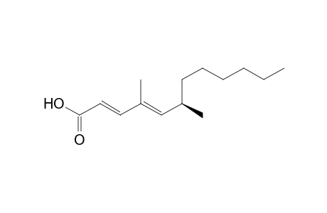 (2E,4E,6R)-4,6-Dimethyl-2,4-dodecadienoic Acid