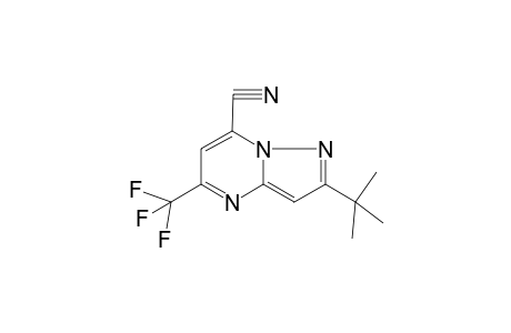 Pyrazolo[1,5-a]pyrimidine-7-carbonitrile, 2-tert-butyl-5-trifluoromethyl-