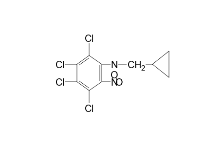 N-(cyclopropylmethyl)-2-nitro-3,4,5,6-tetrachloroaniline