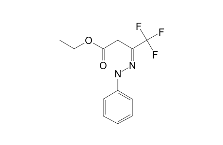 4,4,4-TRIFLUORO-3-(PHENYLHYDRAZONO)-BUTANOIC-ACID,ETHYLESTER