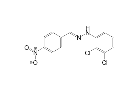 Benzaldehyde, 4-nitro-, 2,3-dichlorophenylhydrazone