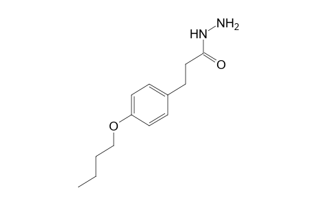 p-BUTOXYHYDROCINNAMIC ACID, HYDRAZIDE