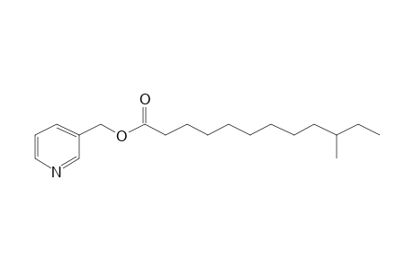 Picolinyl 10-methyl-dodecanoate