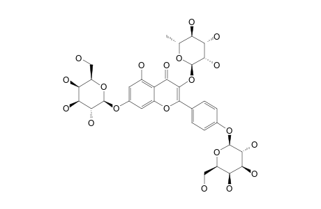 KAEMPFEROL-3-O-ALPHA-RHAMNOPYRANOSIDE-7,4''-DI-O-BETA-GALACTOPYRANOSIDE