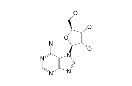 N7-ADENOSINE