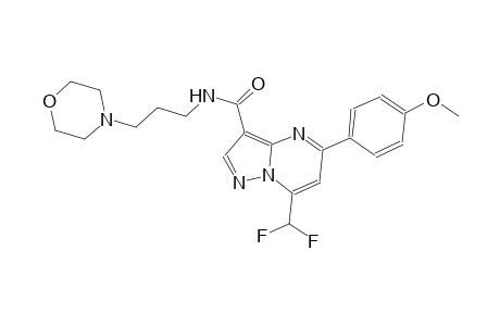 7-(difluoromethyl)-5-(4-methoxyphenyl)-N-[3-(4-morpholinyl)propyl]pyrazolo[1,5-a]pyrimidine-3-carboxamide