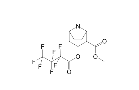 Cocaine-M/A (methylecgonine) HFB    @