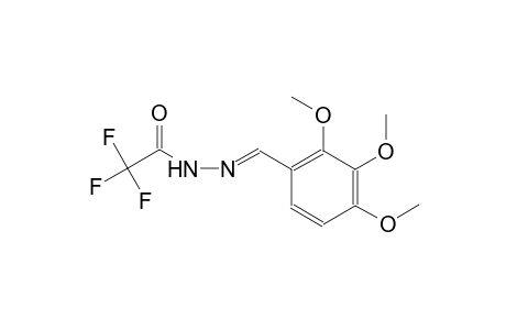 2,2,2-trifluoro-N'-[(E)-(2,3,4-trimethoxyphenyl)methylidene]acetohydrazide