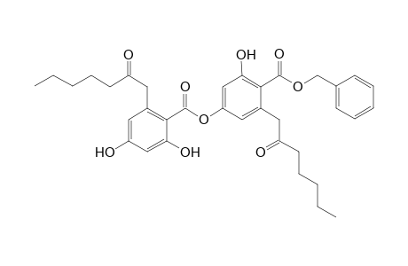 benzyl 4-O-demethylmicrophyllinate