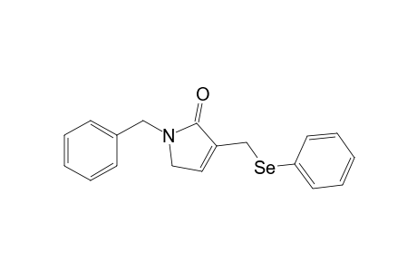 1-Benzyl-3-[(phenylseleno)methyl]-1,5-dihydropyrrol-2-one