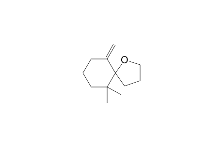 10,10-dimethyl-6-methylidene-4-oxaspiro[4.5]decane