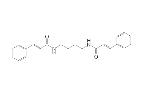 Putrescin-1,4-dicinnamamide (dicinnamide)