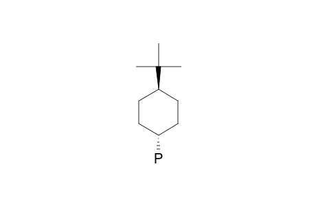 trans-4-tert-Butyl-cyclohexyl-phosphine