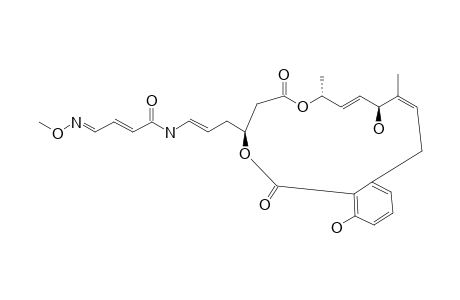 (E,4E)-N-[(E)-3-[(3Z,5S,6E,8R,12S)-5,16-dihydroxy-10,14-diketo-4,8-dimethyl-9,13-dioxabicyclo[13.4.0]nonadeca-1(15),3,6,16,18-pentaen-12-yl]prop-1-enyl]-4-methoxyimino-but-2-enamide