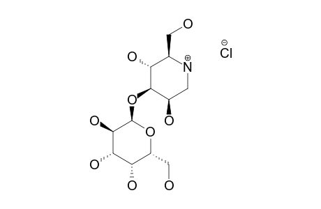 1,5-DIDEOXY-3-O-(ALPHA-D-GALACTOPYRANOSYL)-1,5-IMINO-D-MANNITOL-HYDROCHLORIDE