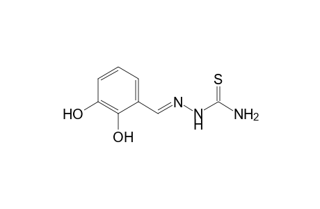 (2E)-2-[(2,3-Dihydroxyphenyl)methylidene]-hydrazine-1-carbothioamide