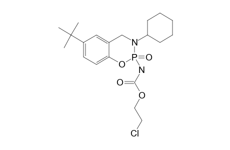 2-(2-CHLOROETHYL)-CARBAMATO-6-(1,1-DIMETHYLETHYL)-3-CYCLOHEXYL-3,4-DIHYDRO-2H-1,3,2-BENZOXAZAPHOSPHORINE-2-OXIDE