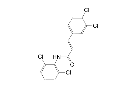 (2E)-N-(2,6-dichlorophenyl)-3-(3,4-dichlorophenyl)-2-propenamide