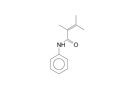 2,3-Dimethyl-N-phenyl-2-butenamide