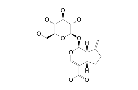 7-DEOXY-GARDOSIDE