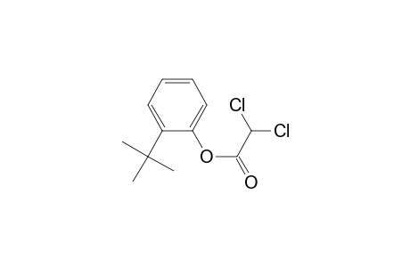 2-tert-Butylphenyl dichloroacetate