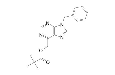 9-BENZYL-6-(PIVALOYLOXYMETHYL)-PURINE