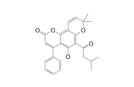 MAMMEA-A/AA-CYCLO-D;5-HYDROXY-8,8-DIMETHYL-6-(3-METHYLBUTANOYL)-4-PHENYL-2H-PYRANO-[2,3-H]-CHROMEN-2-ONE