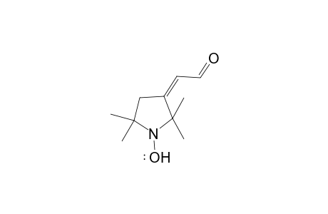 2-(1'-Oxyl-2',2',5',5'-tetramethylpyrrolidin-3'-ylidene)-acetaldehyde