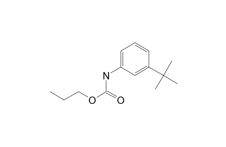 3-(Tert-butyl)aniline, N-(N-propyloxycarbonyl)-