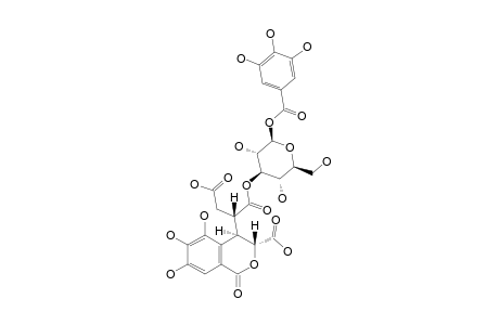 PHYLLANEMBLININ-D;3-O-NEOCHEBULOYL-1-O-GALLOYL-BETA-D-GLUCOSE