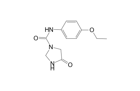 Imidazolidine-1-carboxamide, 4-oxo-N-(4-ethoxyphenyl)-