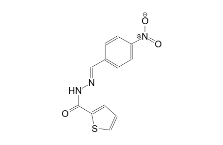 N'-[(E)-(4-nitrophenyl)methylidene]-2-thiophenecarbohydrazide