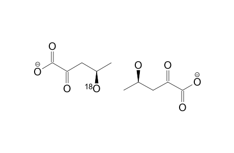 2-OXO-4-HYDROXYPENTANOATE