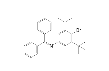 benzhydrylidene-(4-bromo-3,5-ditert-butyl-phenyl)amine