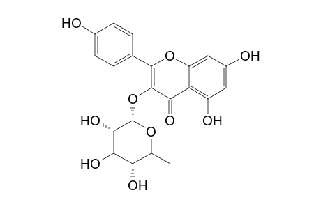 Afzelin