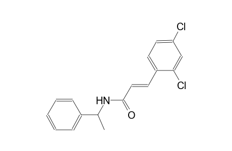 (2E)-3-(2,4-dichlorophenyl)-N-(1-phenylethyl)-2-propenamide