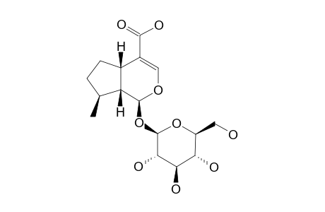 7-DEOXYLOGANIC-ACID