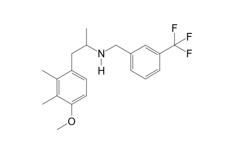 2,3-DiMe-4-MA N-(3-Trifluoromethylbenzyl)