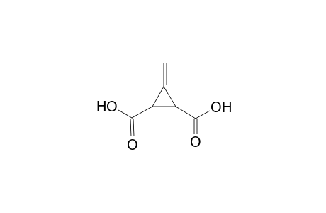 3-Methylene-1,2-cyclopropanedicarboxylic acid
