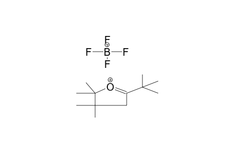 2-TERT-BUTYL-4,4,5,5-TETRAMETHYLTETRAHYDROFURILIUM TETRAFLUOROBORATE