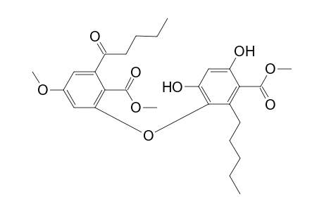 Lobaric acid methylated dervative