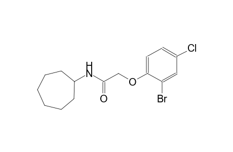 2-(2-bromo-4-chlorophenoxy)-N-cycloheptylacetamide