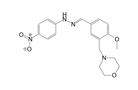 4-methoxy-3-(4-morpholinylmethyl)benzaldehyde (4-nitrophenyl)hydrazone